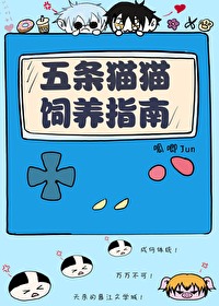 五条猫猫饲养指南免费