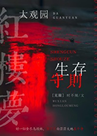 大观园生存守则无限