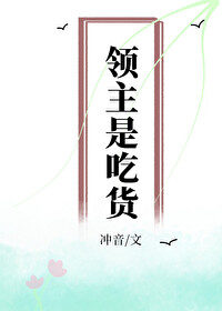 领主什么 小说
