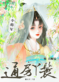 小将军是啥意思