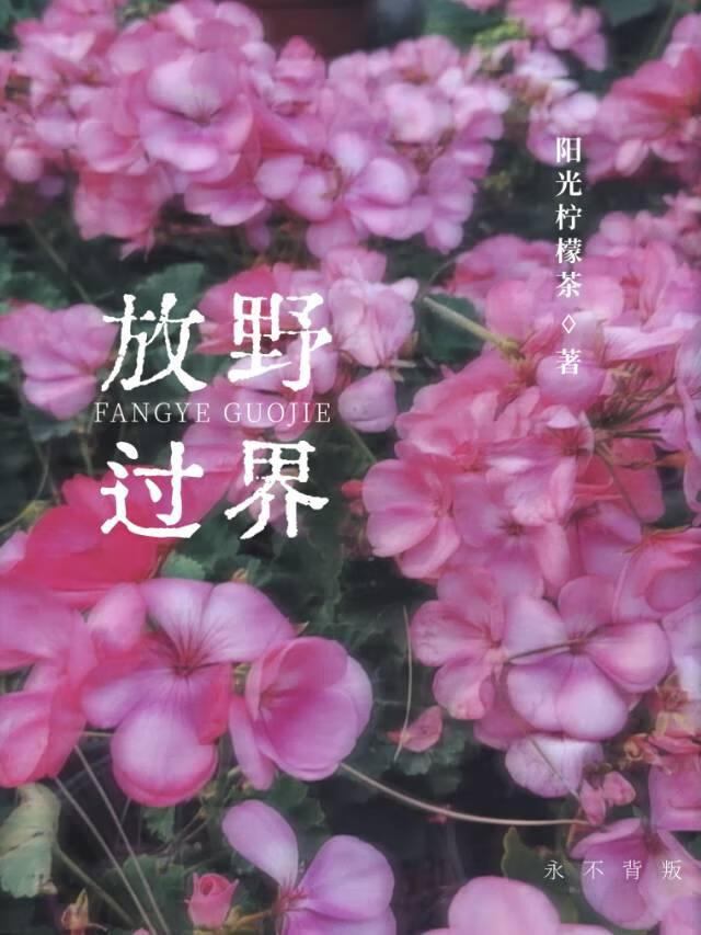 红尘试炼给多少储备金