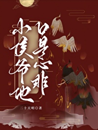 别名小侯爷追妻