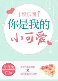 你是我的小可爱歌词