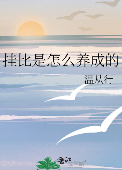 挂壁啥意思?