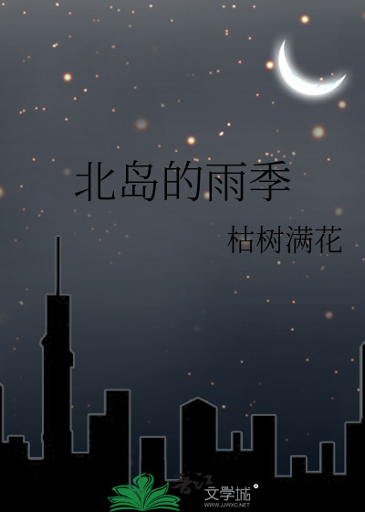 北岛 雨
