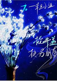 撬开井盖