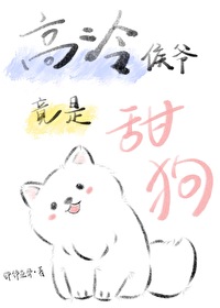 侯爷的小说