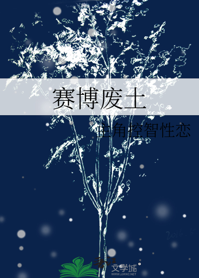 赛博废土是什么意思