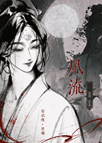 武侠风流类型的小说