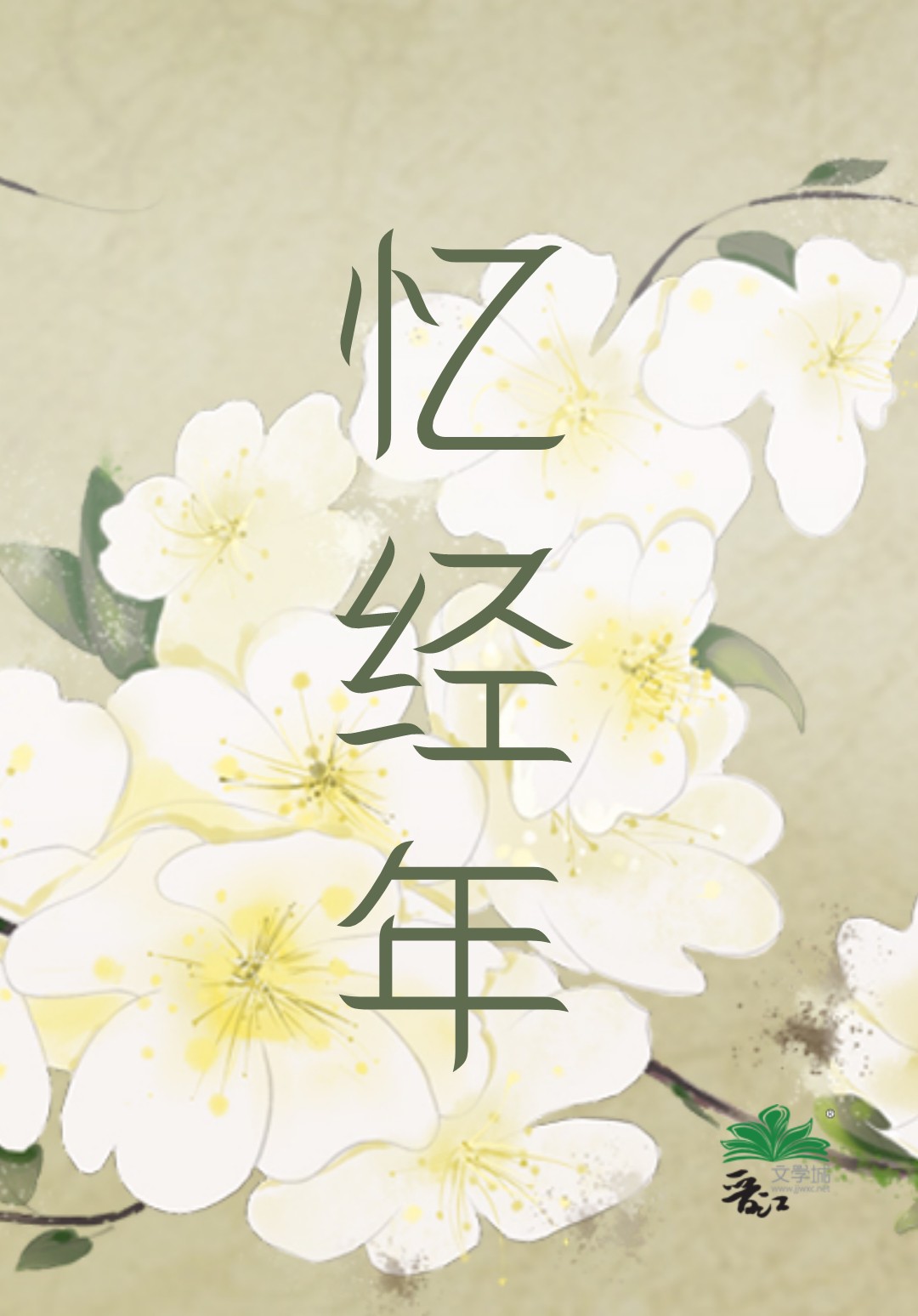 忍将痴心付流年