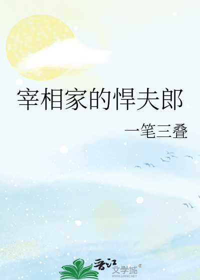 宰相的男妻 简介