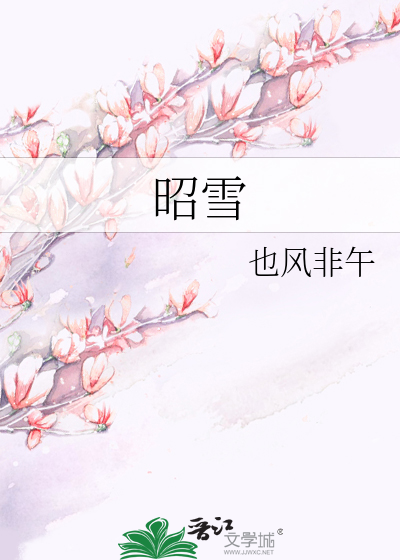 昭雪小说
