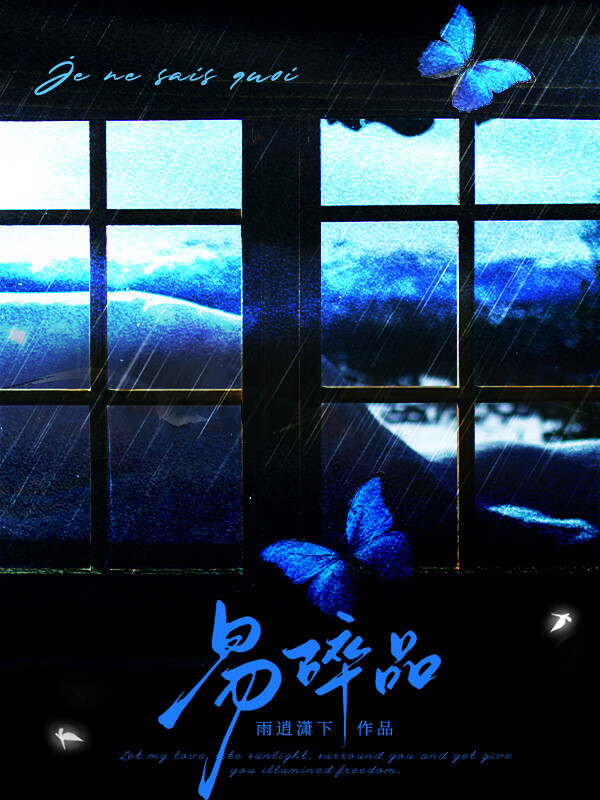 海上飞鸟背景图片