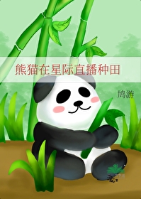 熊猫网红直播系统星际小说
