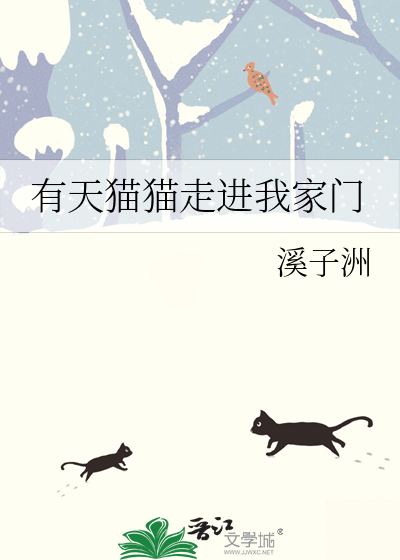 家有猫进来有什么预兆吗