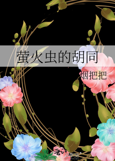 萤火虫的胡同