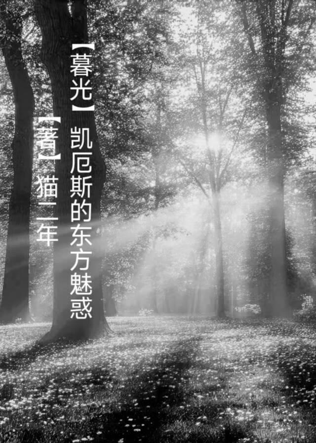 我的影子